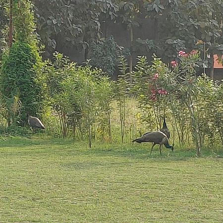 ורנאסי Nature Homestay מראה חיצוני תמונה