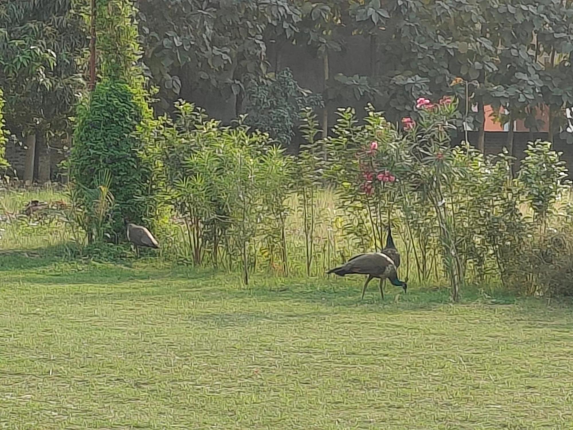 ורנאסי Nature Homestay מראה חיצוני תמונה